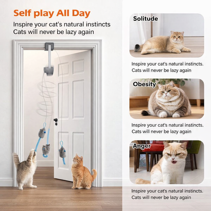 PurrMotion™ Cat Teaser