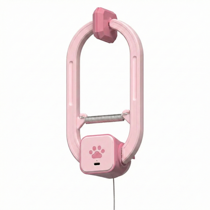 PurrMotion™ Cat Teaser