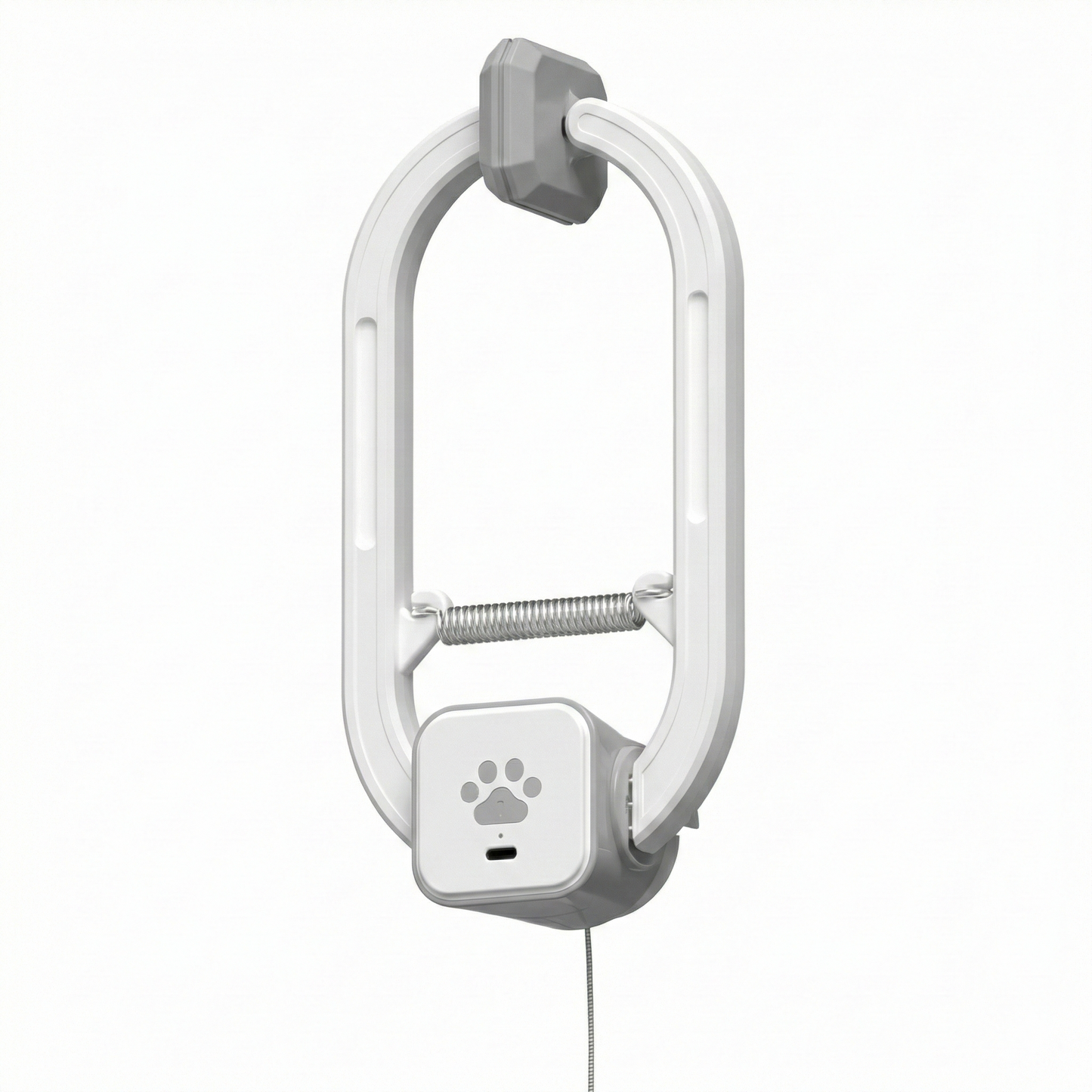 PurrMotion™ Cat Teaser